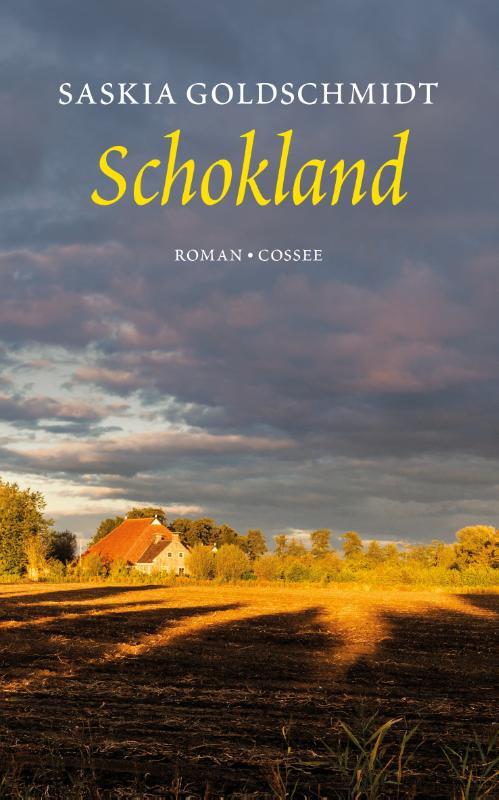Omslag van boek: Schokland