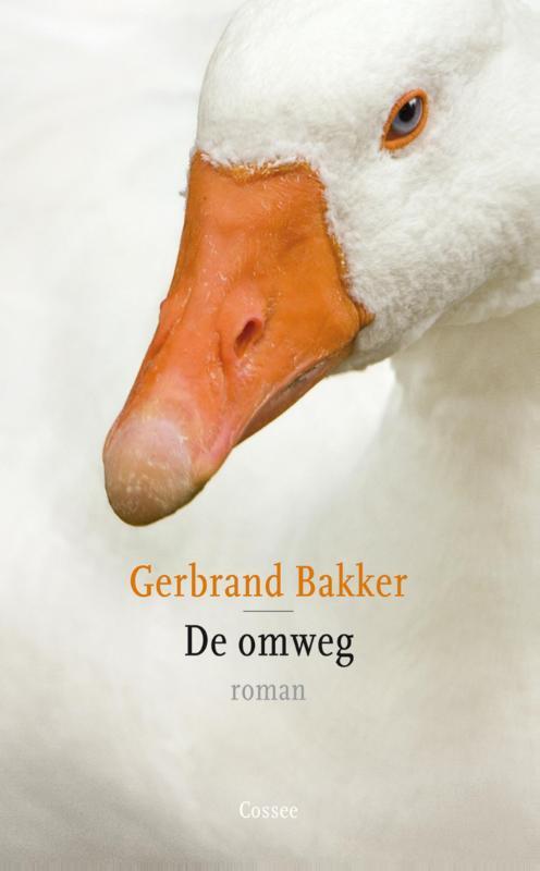 Omslag van boek: De omweg