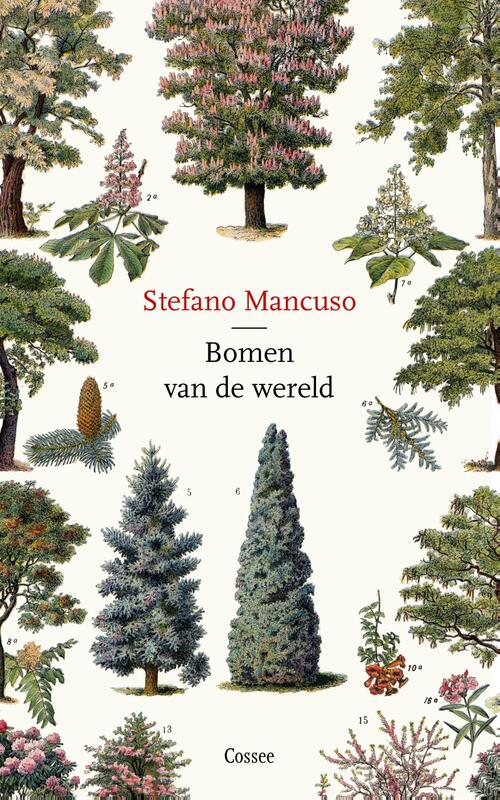 Omslag van boek: Bomen van de wereld