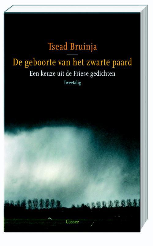 Omslag van boek: De geboorte van het zwarte paard