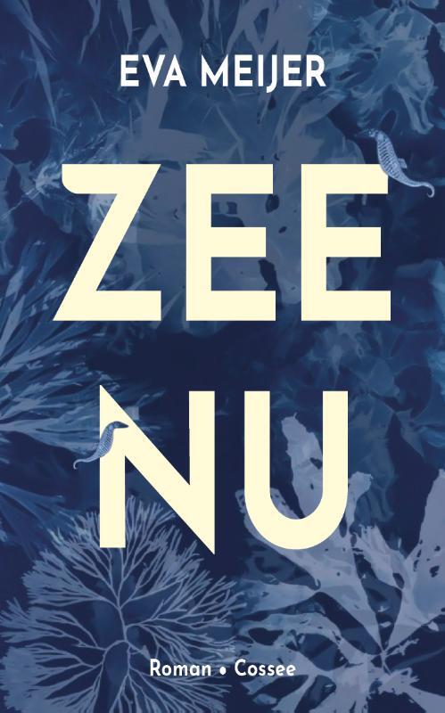 Omslag van boek: Zee Nu