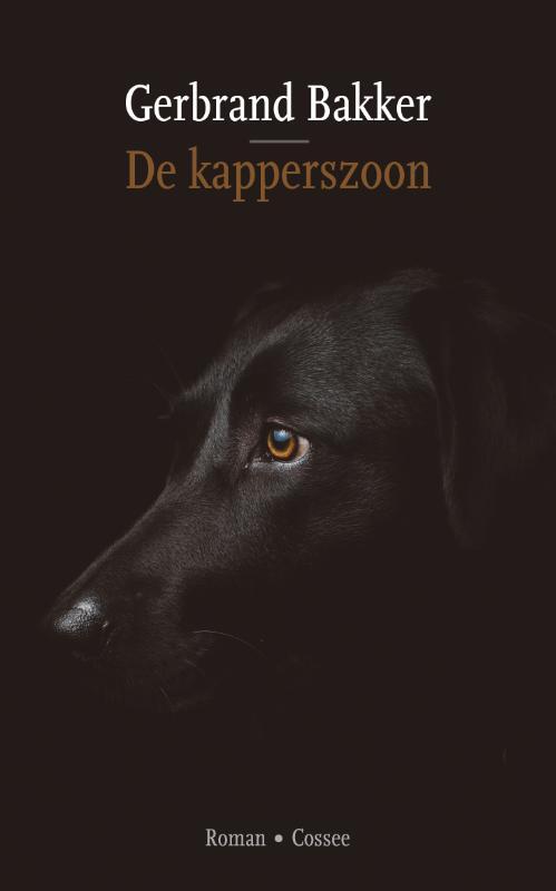 Omslag van boek: De kapperszoon