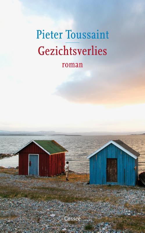 Omslag van boek: Gezichtsverlies