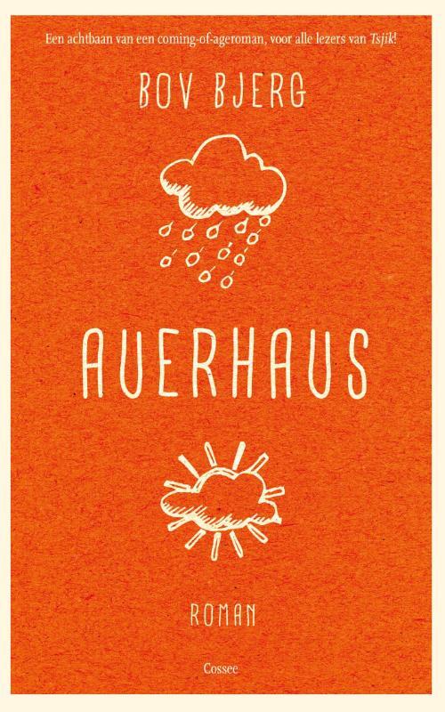 Omslag van boek: Auerhaus