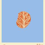 Eden 1