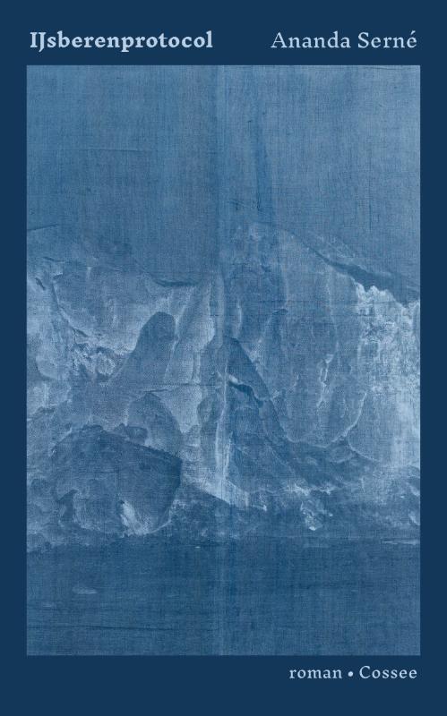 Omslag van boek: IJsberenprotocol