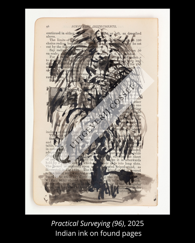 A Natural History of the Studio + original drawing 5