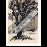 A Natural History of the Studio + original drawing 7