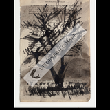 A Natural History of the Studio + original drawing 8
