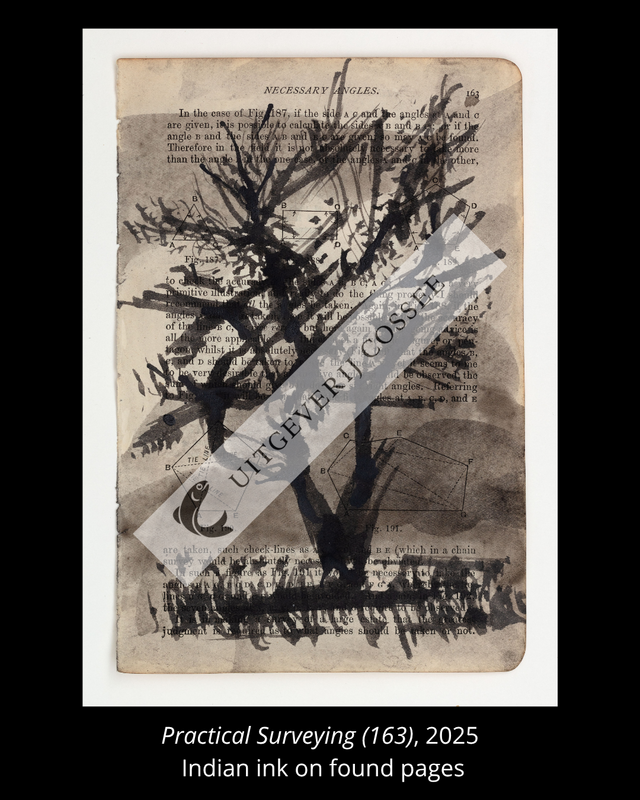 A Natural History of the Studio + original drawing 8