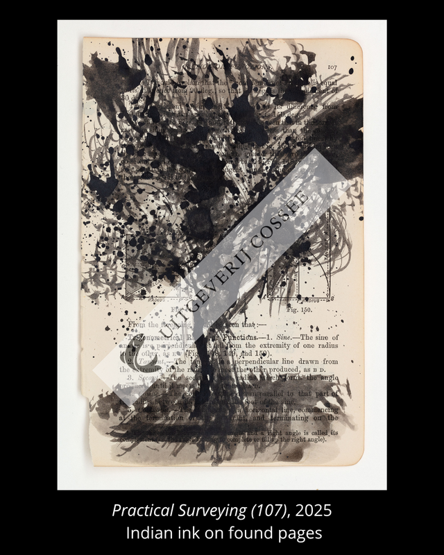 A Natural History of the Studio + original drawing 9