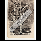 A Natural History of the Studio + original drawing 10