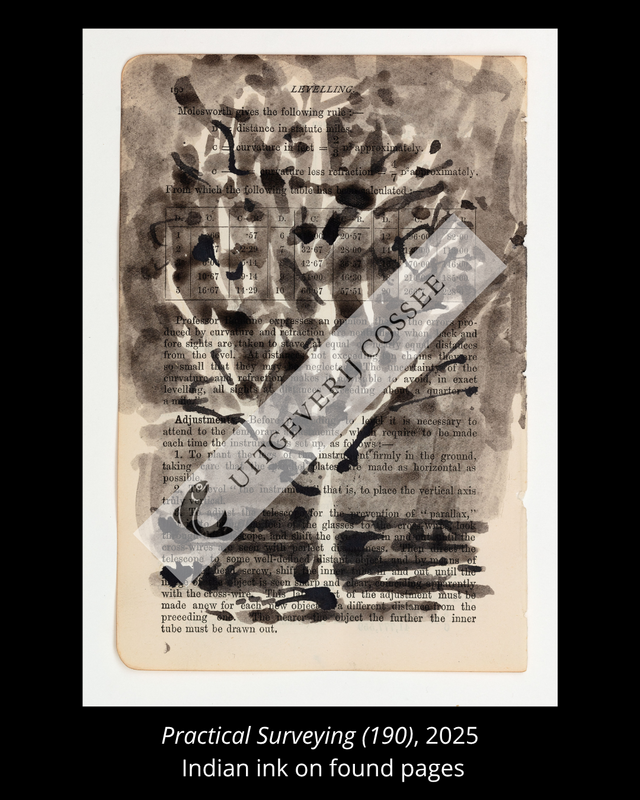 A Natural History of the Studio + original drawing 10