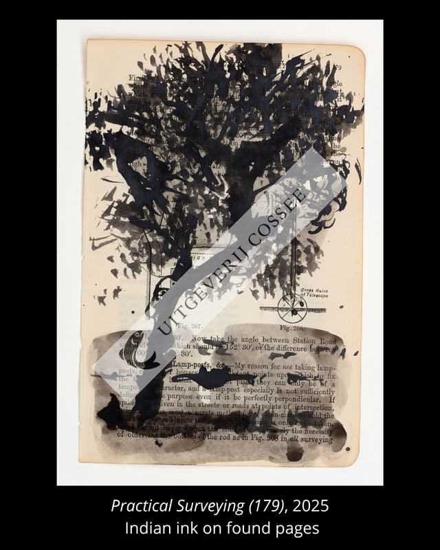 A Natural History of the Studio + original drawing 11