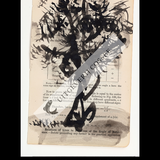 A Natural History of the Studio + original drawing 12