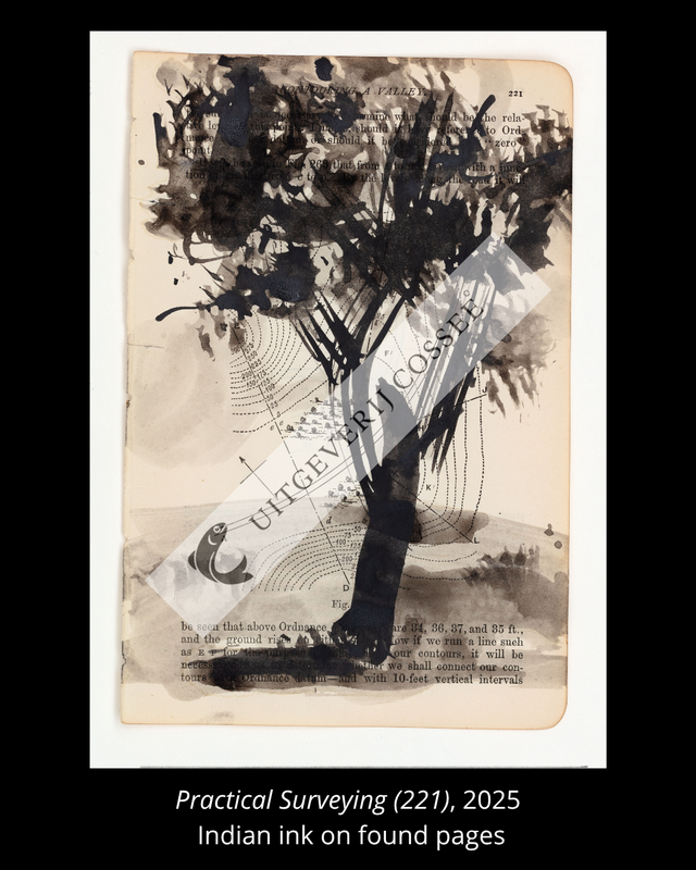 A Natural History of the Studio + original drawing 13