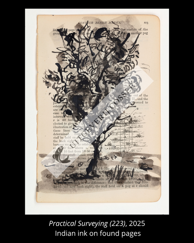 A Natural History of the Studio + original drawing 14