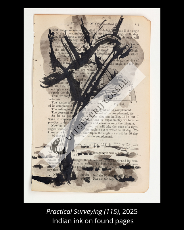 A Natural History of the Studio + original drawing 16