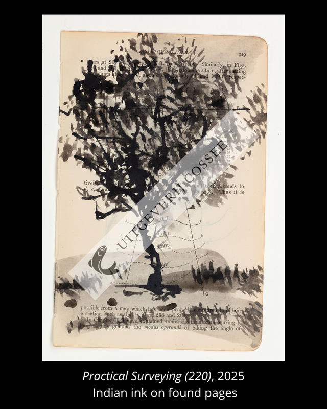 A Natural History of the Studio + original drawing 17