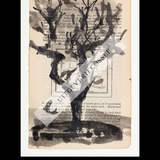 A Natural History of the Studio + original drawing 18