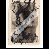 A Natural History of the Studio + original drawing 19