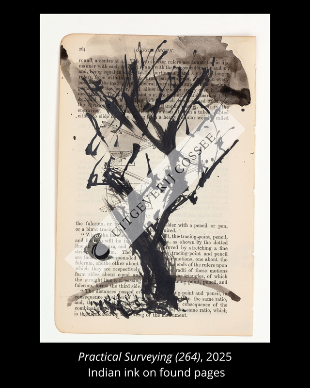 A Natural History of the Studio + original drawing 20