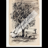 A Natural History of the Studio + original drawing 21