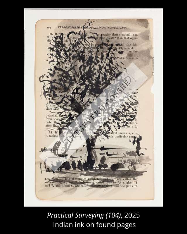 A Natural History of the Studio + original drawing 21