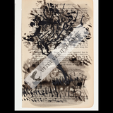 A Natural History of the Studio + original drawing 22