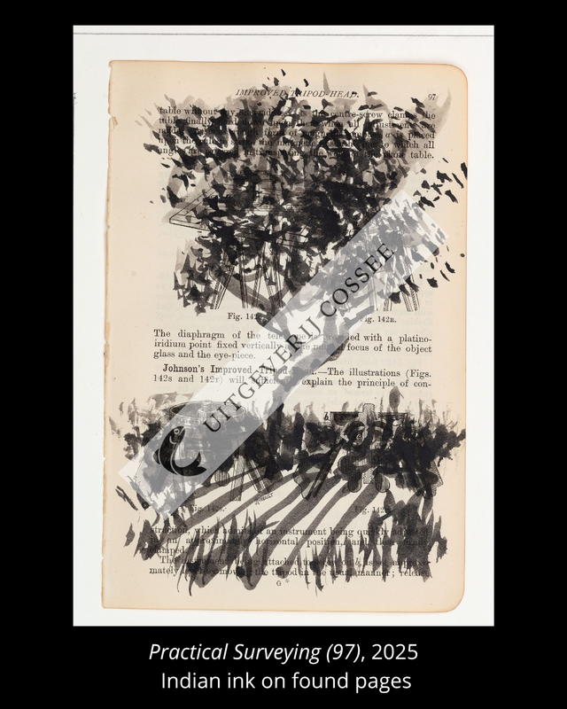 A Natural History of the Studio + original drawing 23