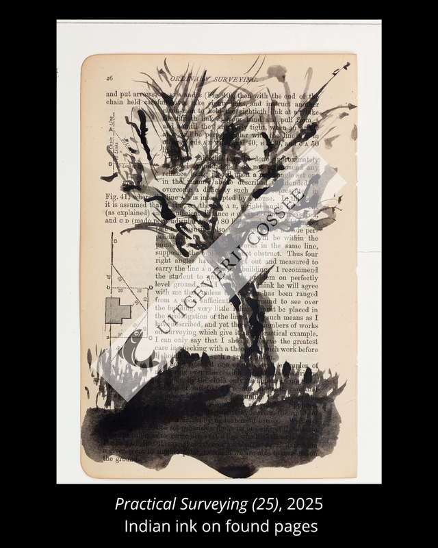 A Natural History of the Studio + original drawing 24