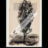 A Natural History of the Studio + original drawing 27