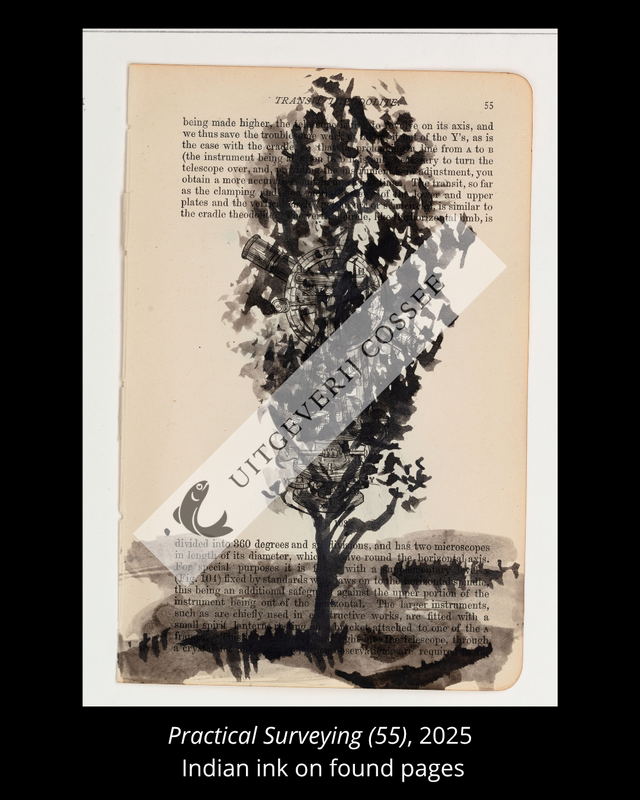 A Natural History of the Studio + original drawing 27