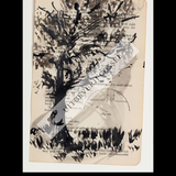 A Natural History of the Studio + original drawing 28