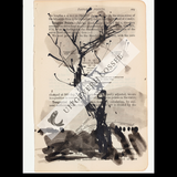 A Natural History of the Studio + original drawing 30