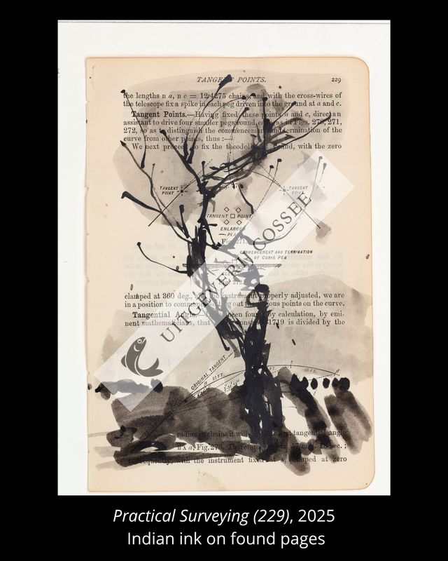 A Natural History of the Studio + original drawing 30