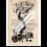 A Natural History of the Studio + original drawing 32