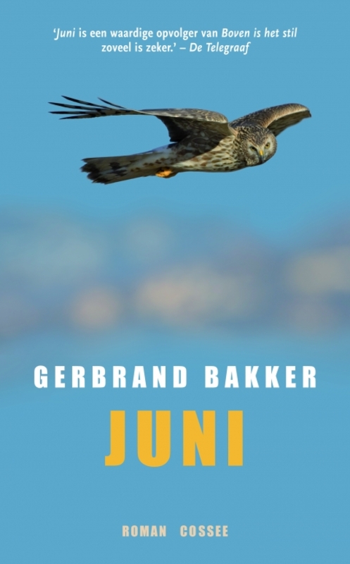 Bookcover: June 